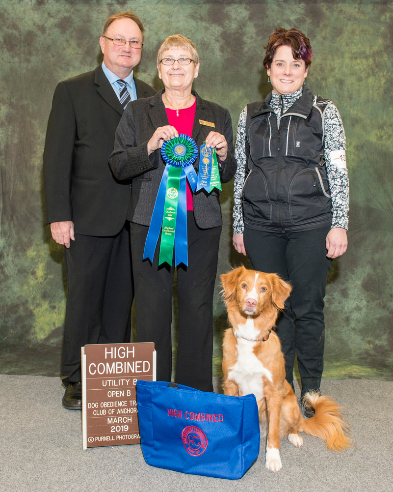 Obedience ALYESKA CANINE TRAINERS