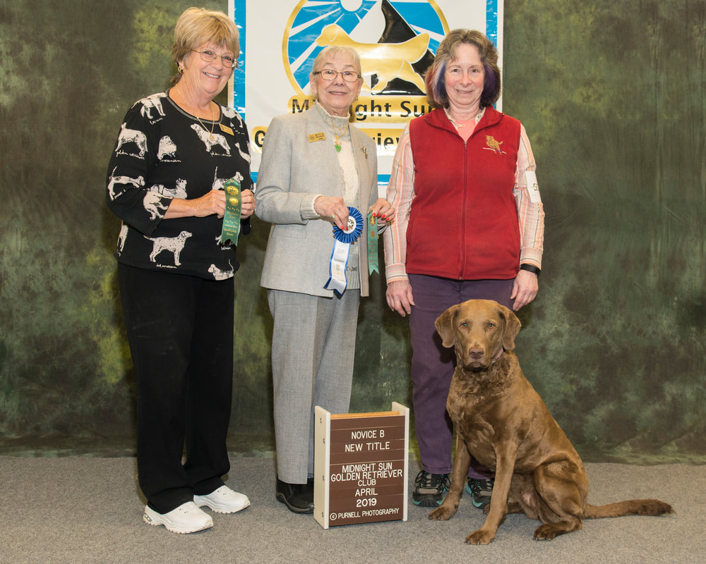 Akc obedience trials outlet 2019