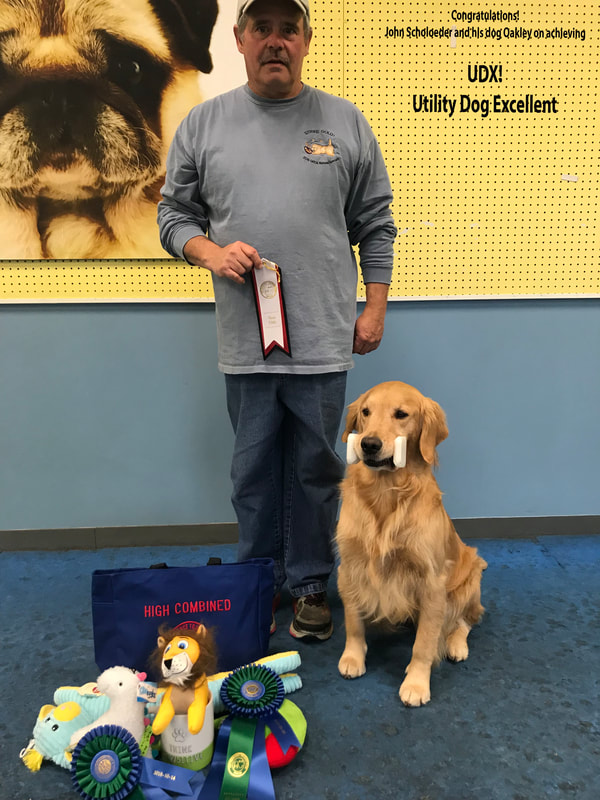 Obedience training club shop of chugiak